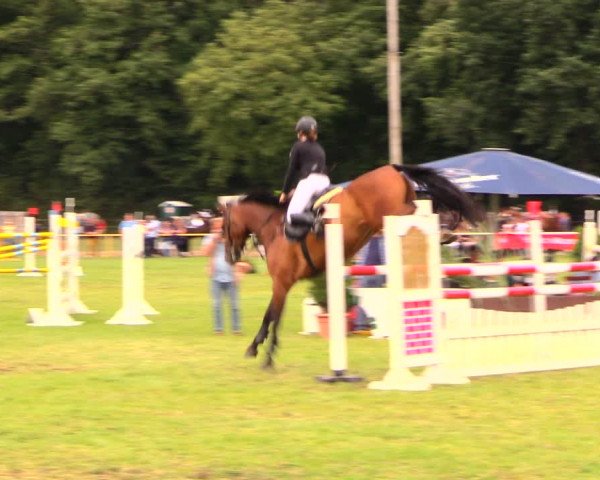 Reitturnier Wulkow 2019