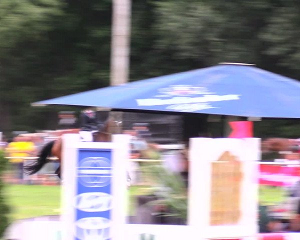 Reitturnier Wulkow 2019
