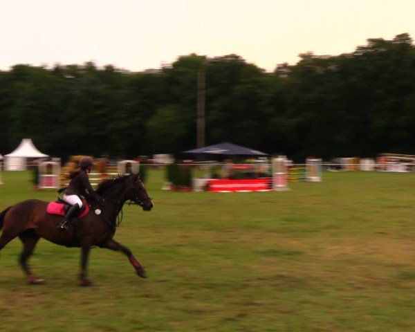 Reitturnier Wulkow 2019