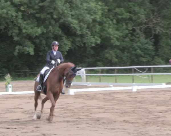 Reitturnier Wulkow 2019
