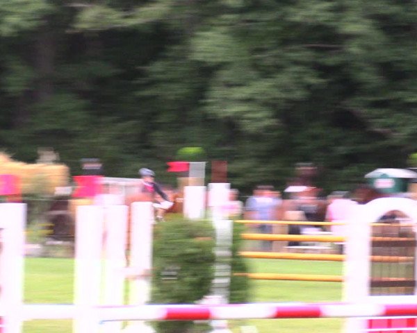 Reitturnier Wulkow 2019