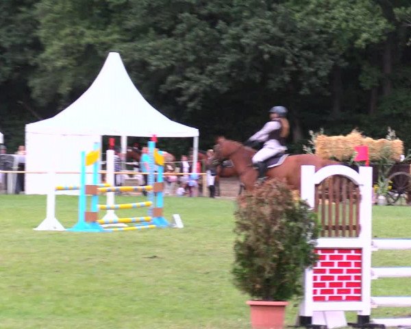 Reitturnier Wulkow 2019