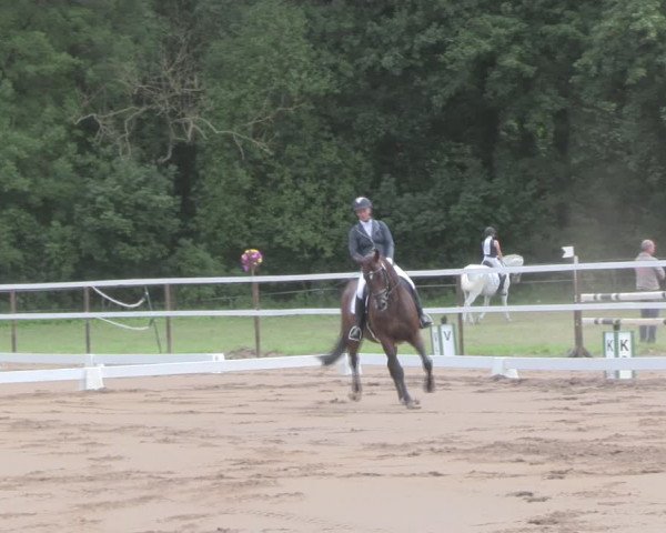 Reitturnier Wulkow 2019