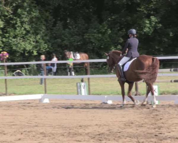 Reitturnier Wulkow 2019