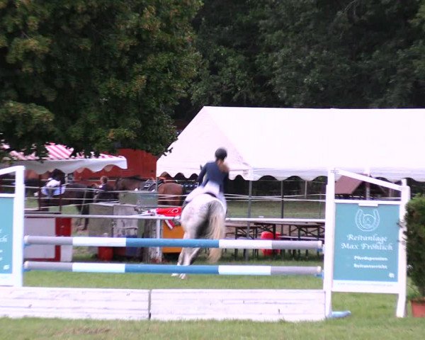 Reitturnier Wulkow 2019