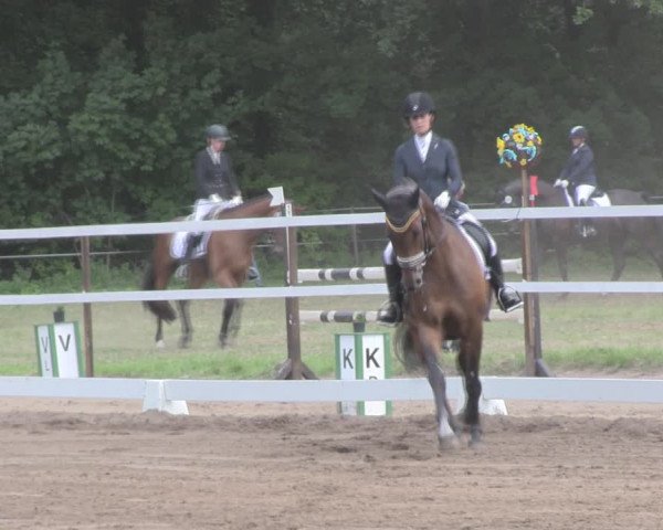 Reitturnier Wulkow 2019