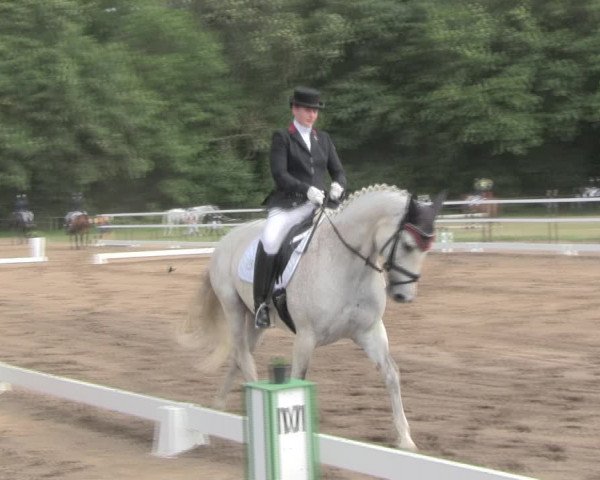 Reitturnier Wulkow 2019