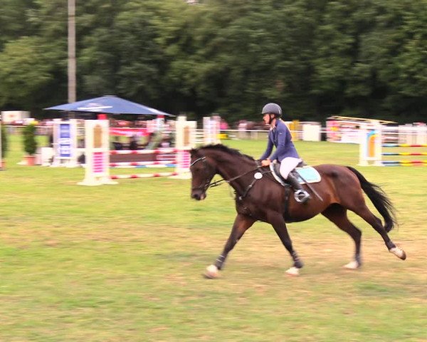 Reitturnier Wulkow 2019
