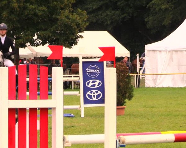 Reitturnier Wulkow 2019