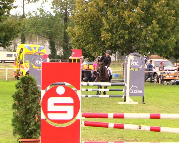 Reitturnier Wulkow 2019