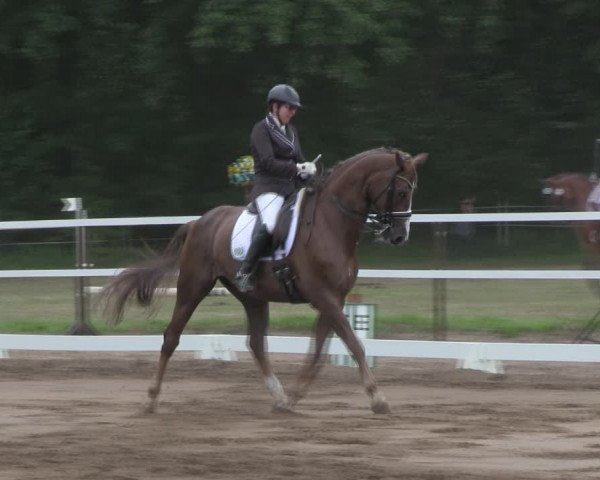 Reitturnier Wulkow 2019