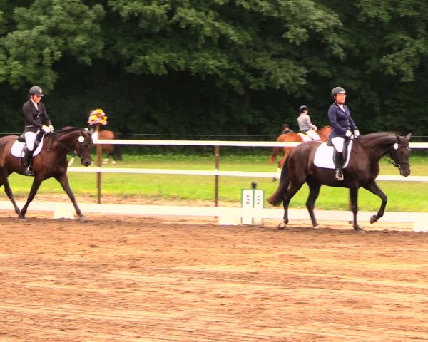Reitturnier Wulkow 2019