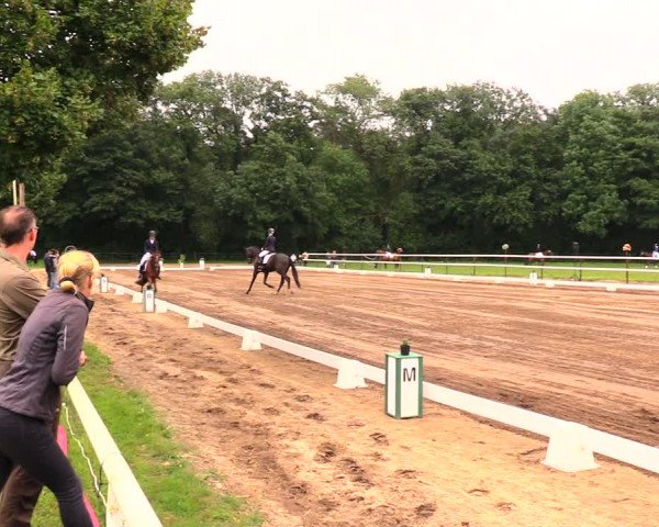 Reitturnier Wulkow 2019