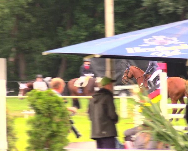 Reitturnier Wulkow 2019