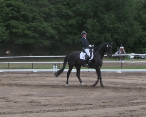 Reitturnier Wulkow 2019