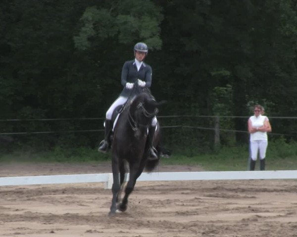 Reitturnier Wulkow 2019