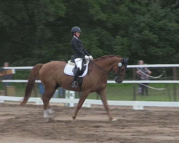 Reitturnier Wulkow 2019