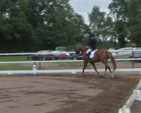 Reitturnier Wulkow 2019