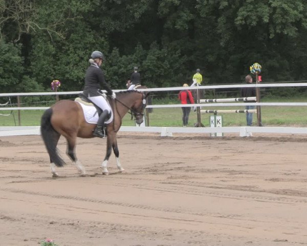 Reitturnier Wulkow 2019