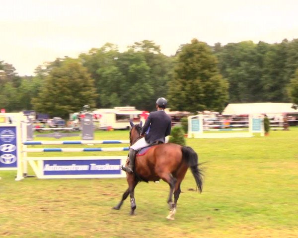 Reitturnier Wulkow 2019