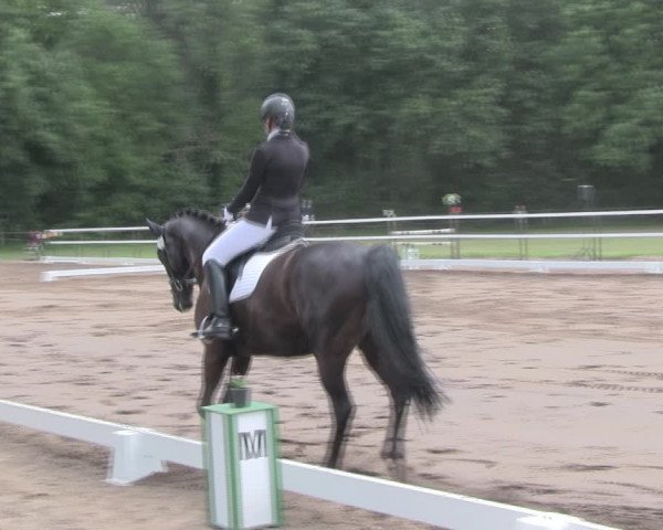 Reitturnier Wulkow 2019
