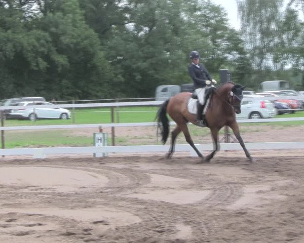 Reitturnier Wulkow 2019