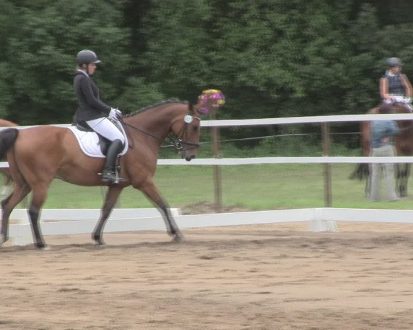 Reitturnier Wulkow 2019