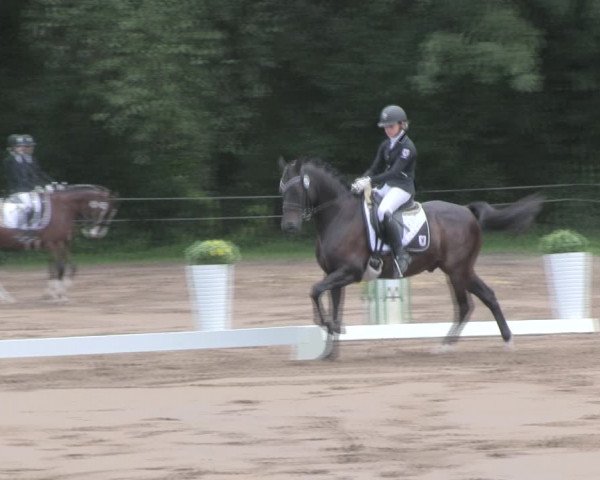 Reitturnier Wulkow 2019