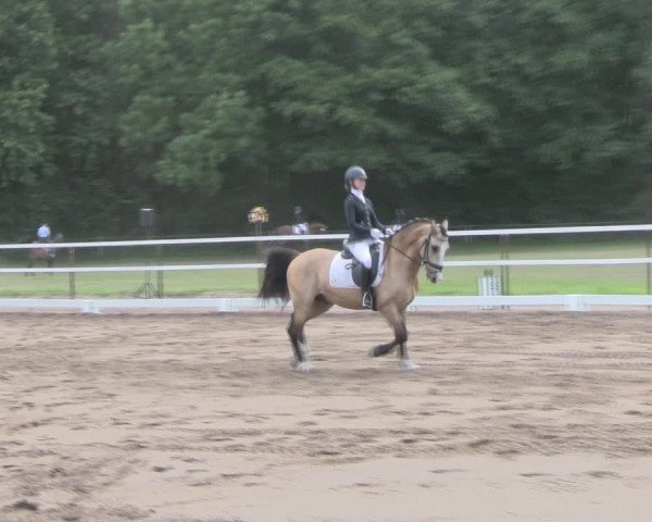 Reitturnier Wulkow 2019