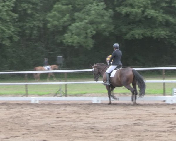 Reitturnier Wulkow 2019