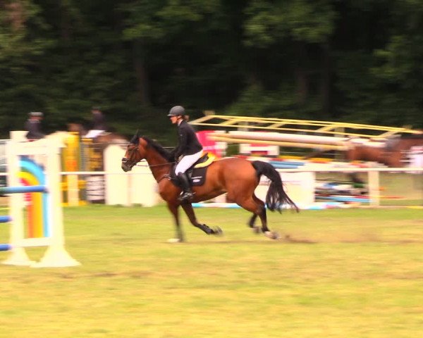Reitturnier Wulkow 2019