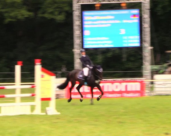Reitturnier Wulkow 2019