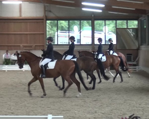 Reitturnier Bergisch Classics - Hebborner Hof 2019