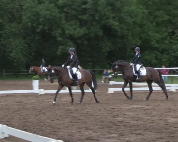 Reitturnier Wulkow 2019