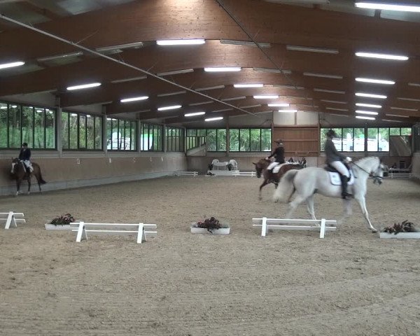 Reitturnier Bergisch Classics - Hebborner Hof 2019