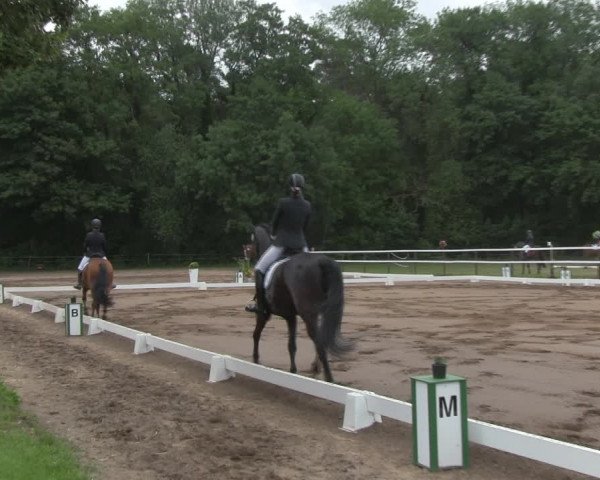 Reitturnier Wulkow 2019