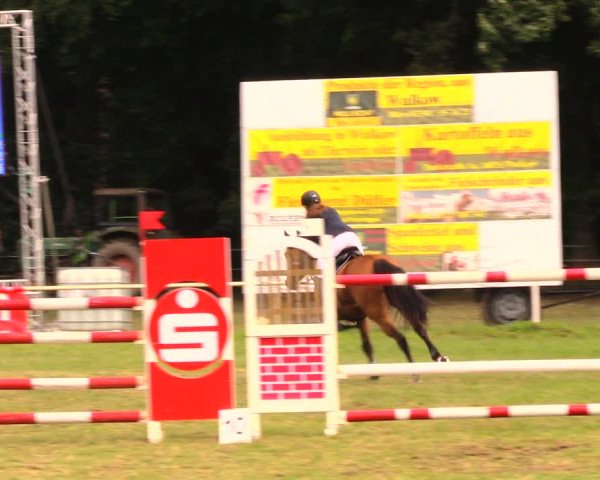 Reitturnier Wulkow 2019