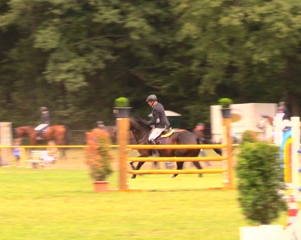 Reitturnier Wulkow 2019