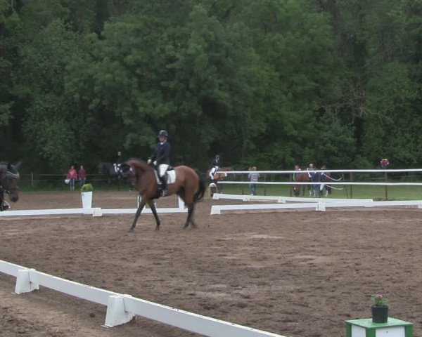 Reitturnier Wulkow 2019