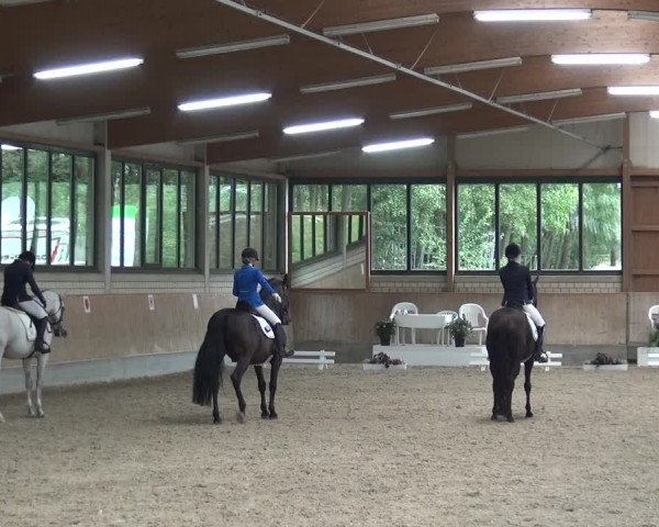Reitturnier Bergisch Classics - Hebborner Hof 2019