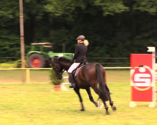 Reitturnier Wulkow 2019