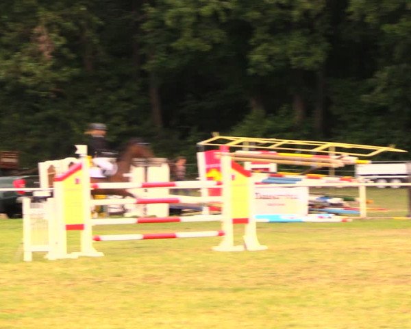 Reitturnier Wulkow 2019