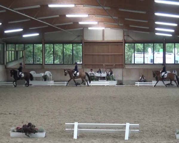 Reitturnier Bergisch Classics - Hebborner Hof 2019