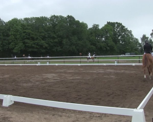 Reitturnier Wulkow 2019