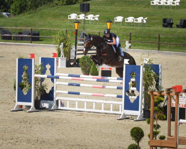 broodmare Quentina 8 (Hanoverian, 2009, from Quintender 2) broodmare Quentina 8 (Hanoverian, 2009, from Quintender 2)