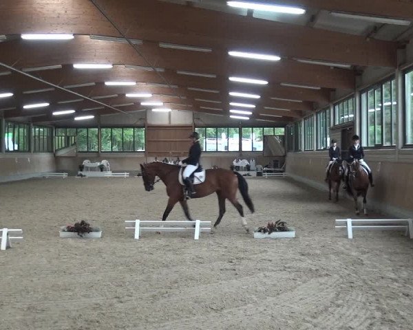 Reitturnier Bergisch Classics - Hebborner Hof 2019