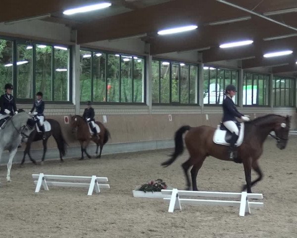 Reitturnier Bergisch Classics - Hebborner Hof 2019