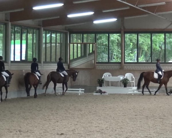 Reitturnier Bergisch Classics - Hebborner Hof 2019