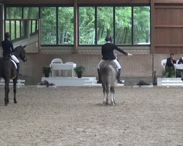 Reitturnier Bergisch Classics - Hebborner Hof 2019