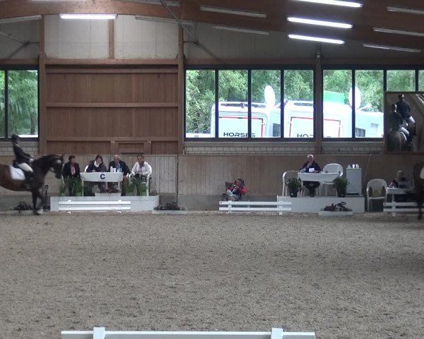 Reitturnier Bergisch Classics - Hebborner Hof 2019